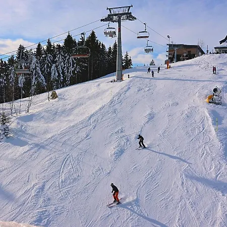 Holiday In Gr Nebach With Terrace * Winterberg