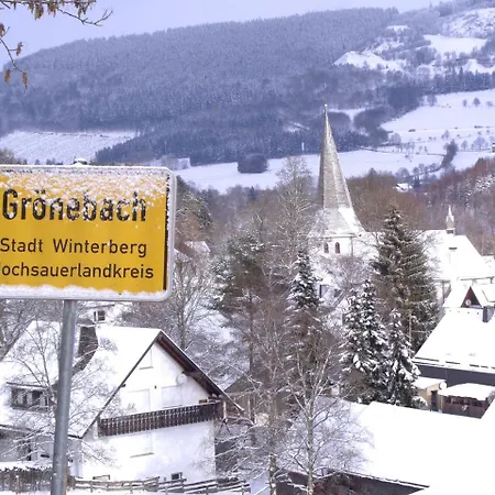 Holiday In Gr Nebach With Terrace Holiday home Winterberg