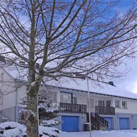 Holiday In Gr Nebach With Terrace Holiday home Winterberg
